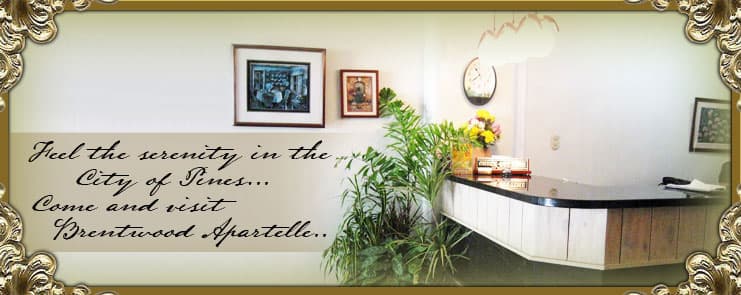 Accommodation and space rentals and more for your convenience.